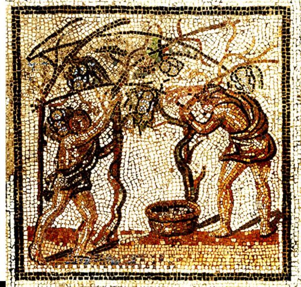 Mosaïque romaine de vendanges au sud de la France / photo Wikimédia