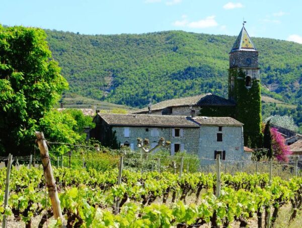 Vignes et terroir du village Valvignères en Ardèche avec vue sur l'église / photo office de tourisme