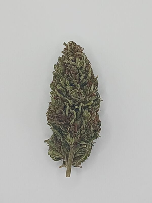 Forbidden CBDV