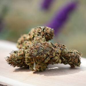 Blueberry - Fleur de CBD Bio