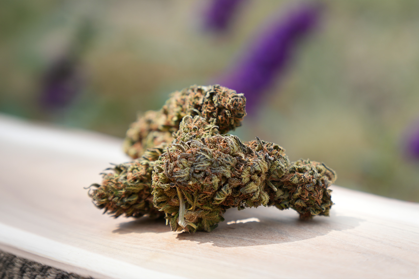 Blueberry - Fleur de CBD Bio