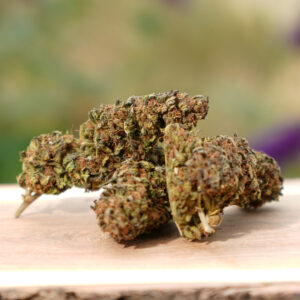 Blueberry - Fleur de CBD Bio
