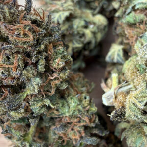 Blueberry - Fleur de CBD Bio