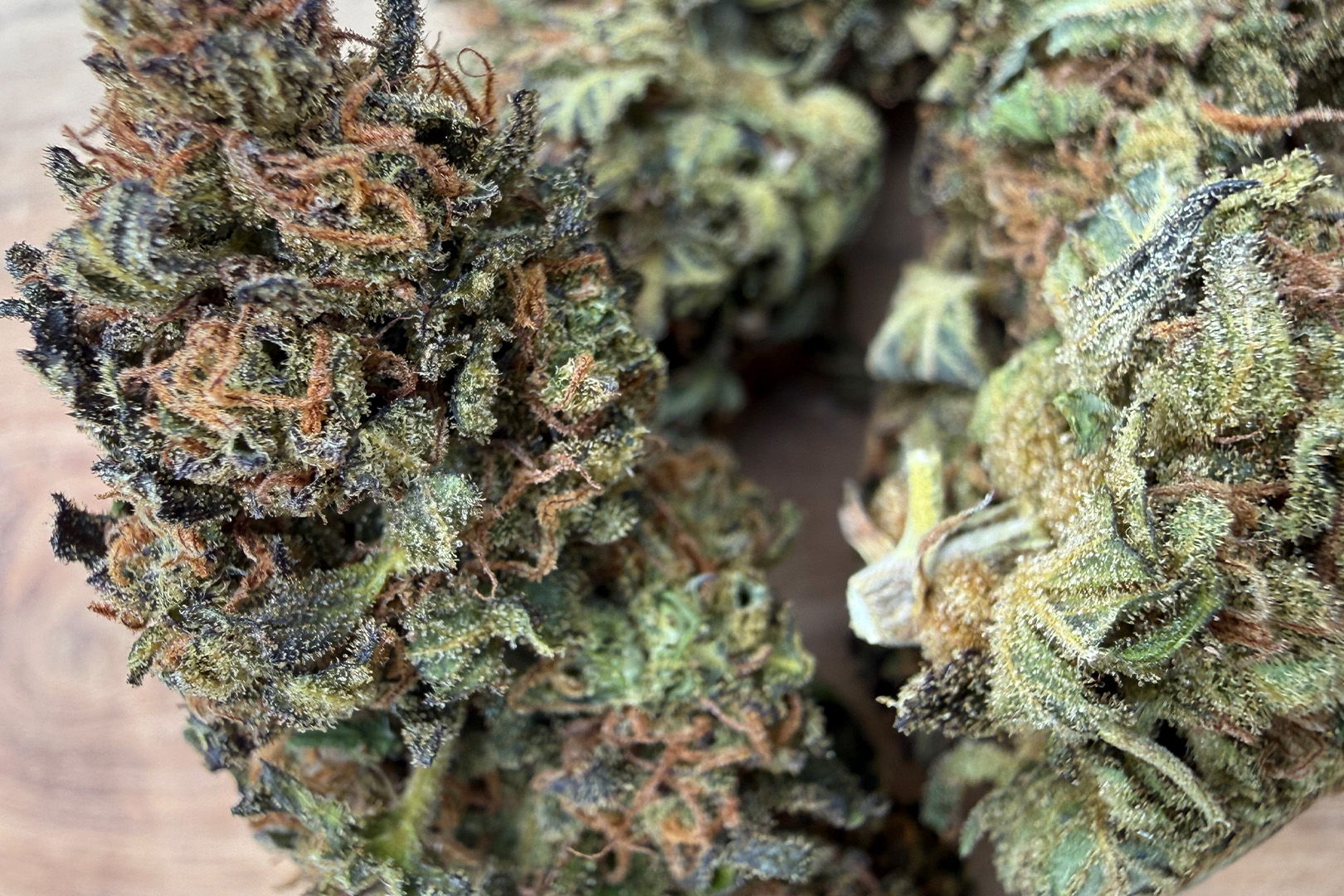 Blueberry - Fleur de CBD Bio