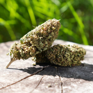 Goat Butter - Fleur de CBD Bio