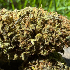 Goat Butter - Fleur de CBD Bio