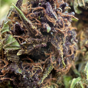 Platinium Panthere - Fleur de CBD Bio