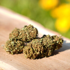 Reine Orangine - Fleur de CBD Bio