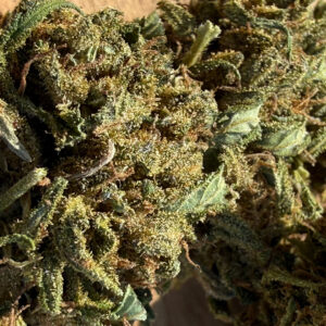 Reine Orangine - Fleur de CBD Bio