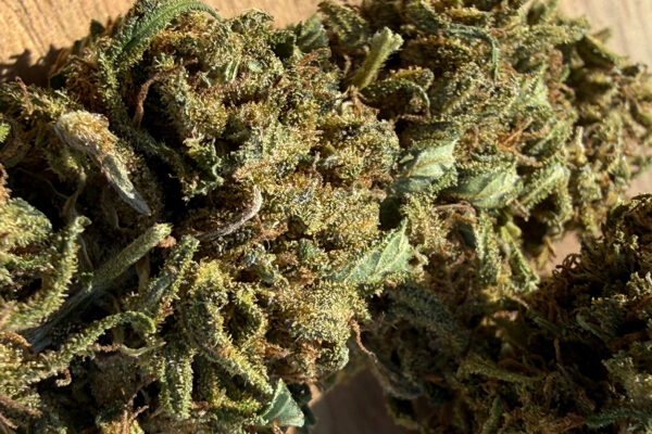 Reine Orangine - Fleur de CBD Bio