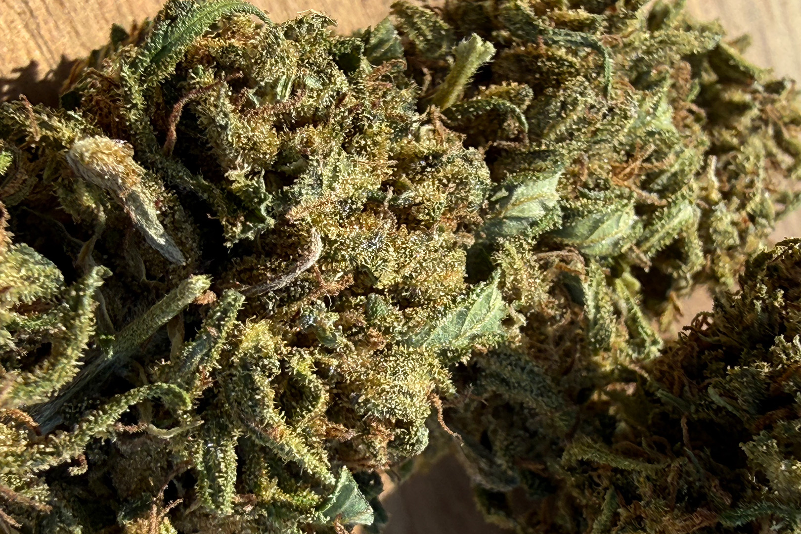 Reine Orangine - Fleur de CBD Bio
