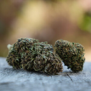 Saphir Kush - Fleur de CBD Bio