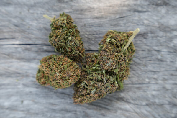 Saphir Kush - Fleur de CBD Bio