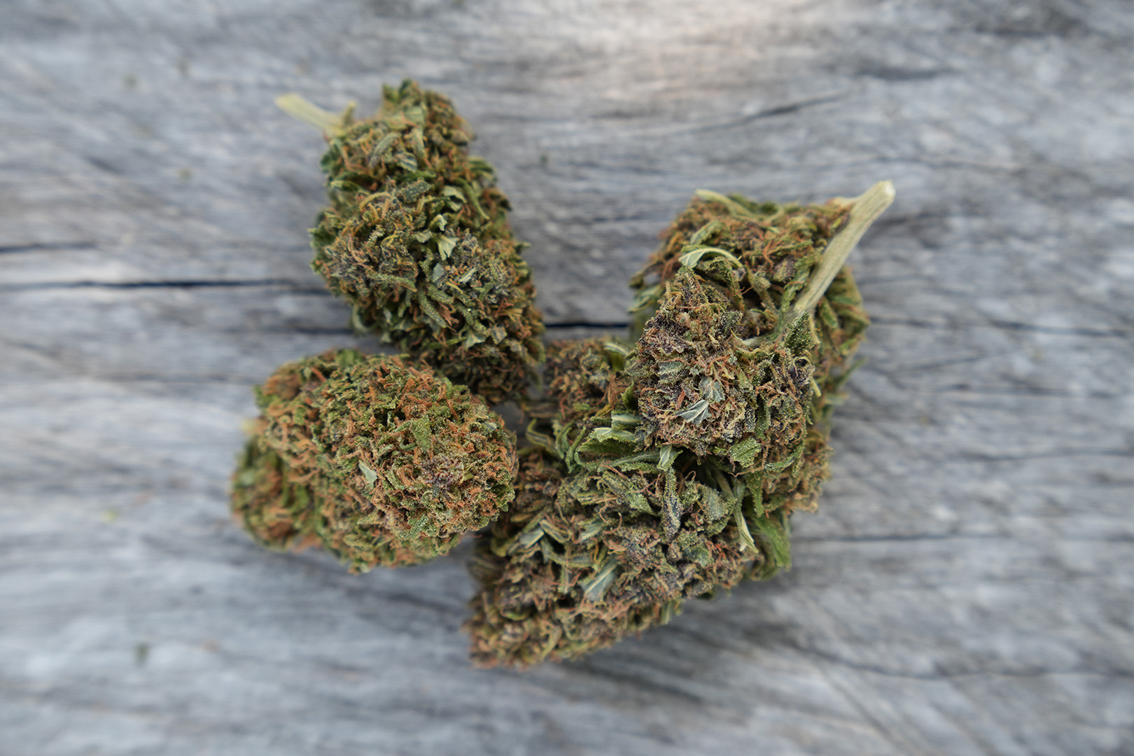 Saphir Kush - Fleur de CBD Bio