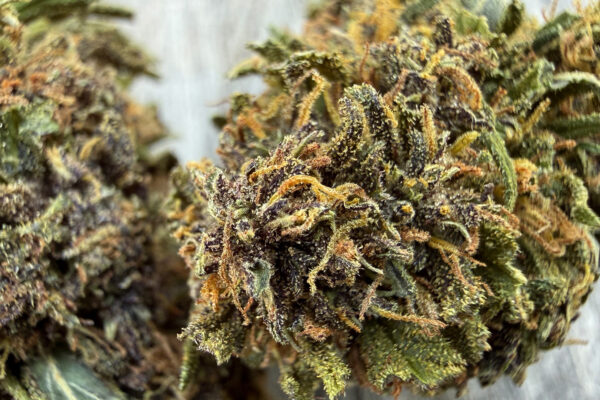 Saphir Kush - Fleur de CBD Bio