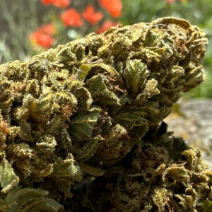 Strawberry - Fleur de CBD Bio