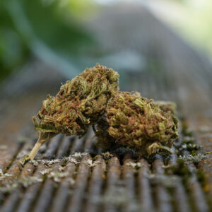 Tropical Fruit Scoops - Fleur de CBD Bio