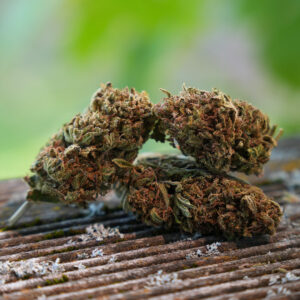 Tropical Fruit Scoops - Fleur de CBD Bio