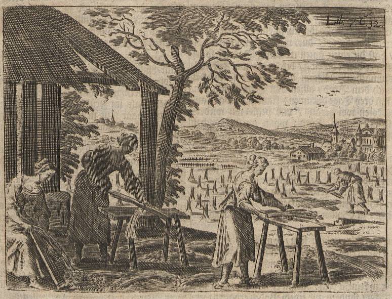 Hemp harvesting and processing in Europe, Wolf Helmhardt von Hohberg, 1695 / Wikimedia – Deutsche Fototek