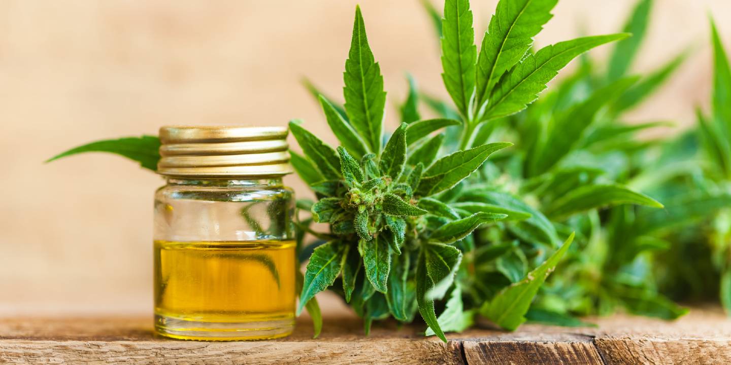 Huile et fleurs de chanvre CBD produit en France